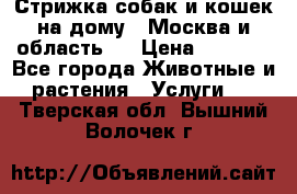 Стрижка собак и кошек на дому.  Москва и область.  › Цена ­ 1 200 - Все города Животные и растения » Услуги   . Тверская обл.,Вышний Волочек г.